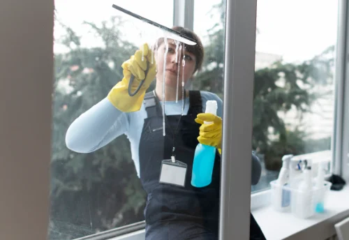 Nettoyage de vitres intérieures et extérieures à Exoudun